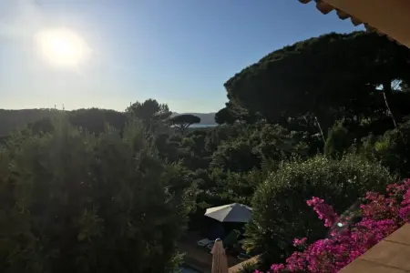 221633, Pinet piscine privée climat Saint Tropez : photo 11