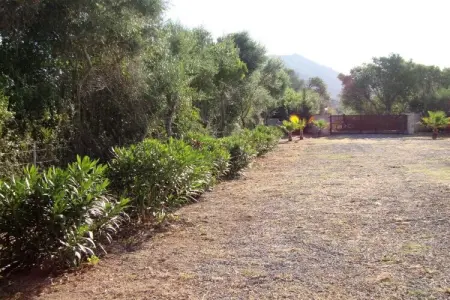 141629, Finca avec 3 chambres : photo 16