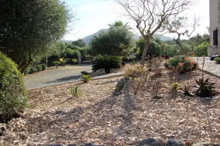 141629, Finca avec 3 chambres : photo 17