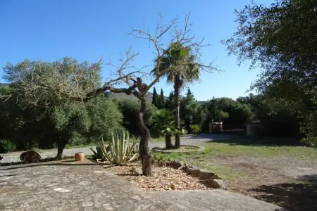 141629, Finca avec 3 chambres : photo 18