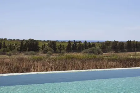 71840, Villa à Son Servera avec piscine : photo 5