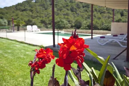71840, Villa à Son Servera avec piscine : photo 11