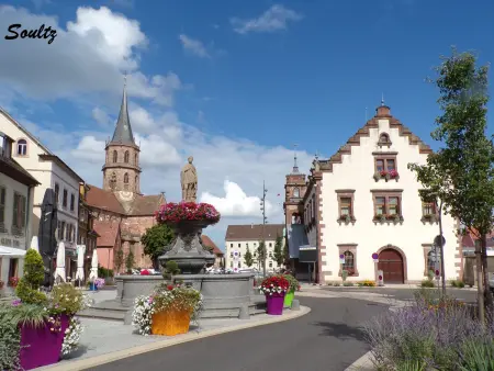 Charmant gîte au cœur de Baldersheim - 5 pers., Appartement 5 personnes à Baldersheim : photo 33