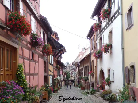 Charmant gîte au cœur de Baldersheim - 5 pers., Appartement 5 personnes à Baldersheim : photo 34