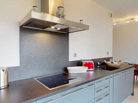 Appartement spacieux au centre de Colmar, Appartement 6 personnes à Colmar : photo 13