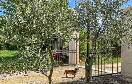 Gite Campagne Proche Alpilles, Maison 6 personnes à Eyragues : photo 15