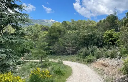 Gite Campagne Proche Alpilles, Maison 6 personnes à Eyragues : photo 22