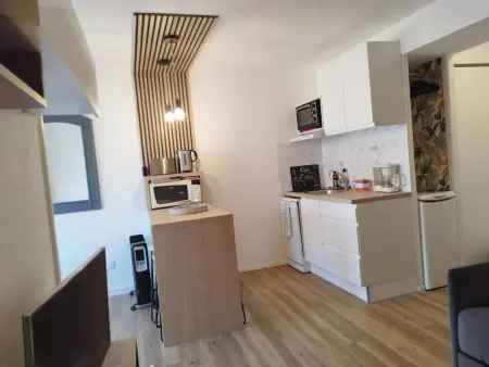 Appartement cosy Canet-en-Roussillon 27 m² Terrasse : photo 10