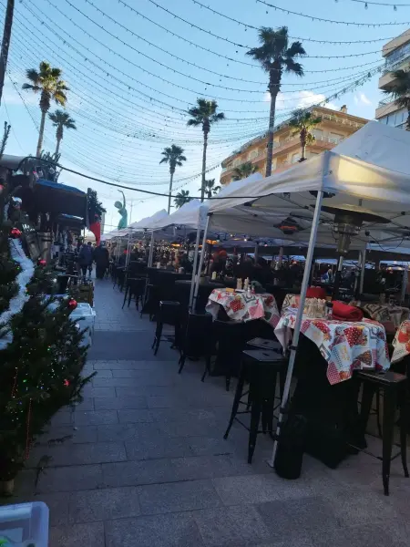 Appartement cosy Canet-en-Roussillon 27 m² Terrasse : photo 40