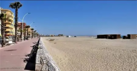Appartement cosy Canet-en-Roussillon 27 m² Terrasse : photo 43