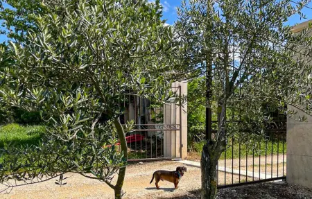 Gîte campagne proche Alpilles, Maison 6 personnes à Eyragues : photo 14
