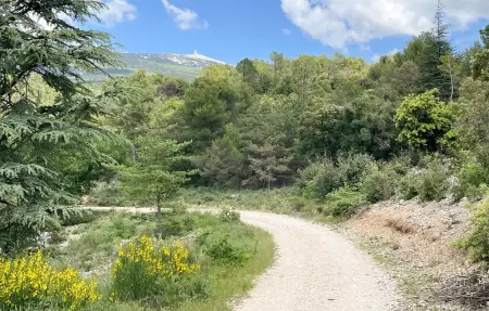 Gîte campagne proche Alpilles, Maison 6 personnes à Eyragues : photo 19