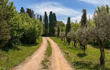 Gîte campagne proche Alpilles, Maison 4 personnes à Eyragues : photo 14