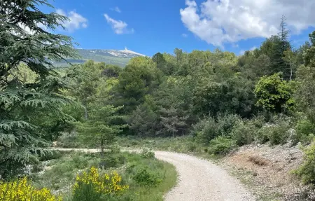 Gîte campagne proche Alpilles, Maison 4 personnes à Eyragues : photo 15