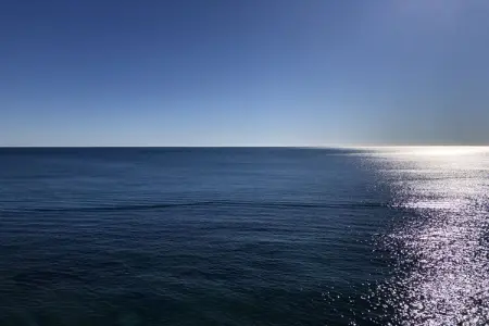 397379, Penthouse Vista del Mar : photo 30