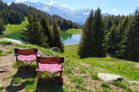 817985, Chalet avec 2 chambres : photo 28
