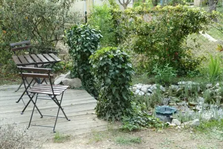 138589, Charme en Provence || Carpentras : photo 4