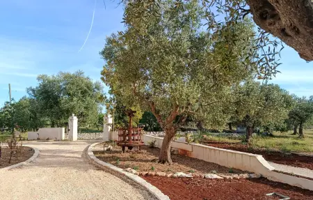 Tre Trulli 4 posti, Maison 4 personnes à Alberobello : photo 10