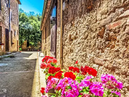 Location gite de vacances à Sovicille