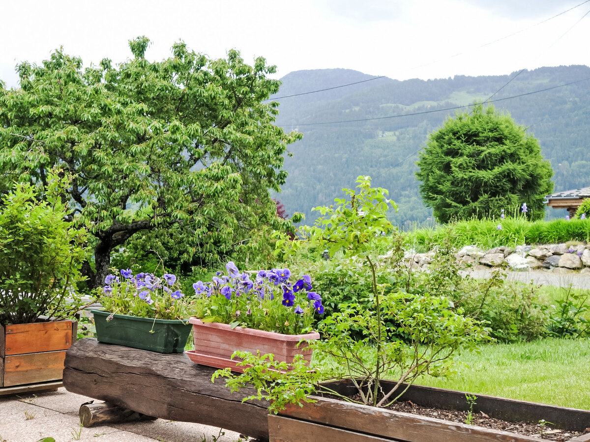 Appartement Rubigny à Saint Gervais, vue montagne - Photo 4