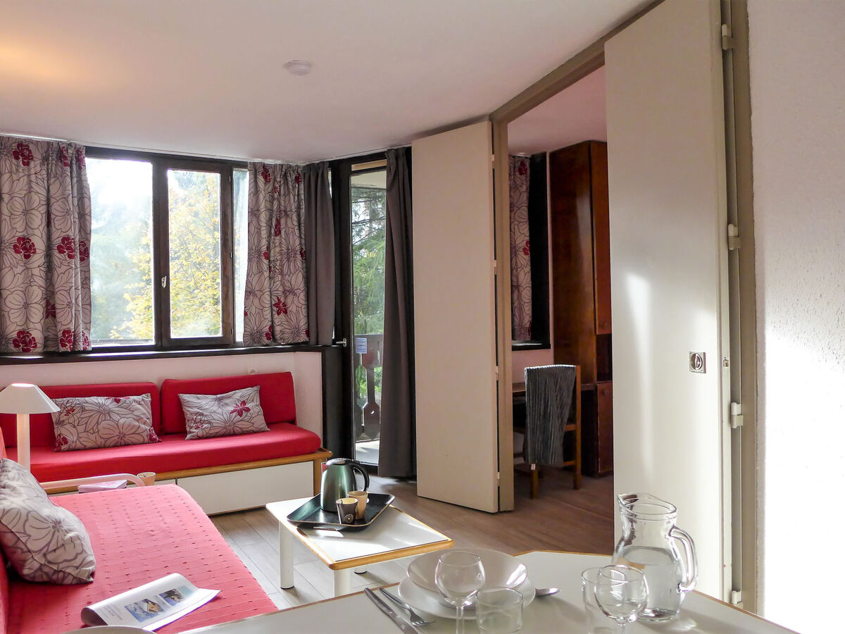 Appartement 2 pièces Chamonix, balcon sud-ouest - Photo 3