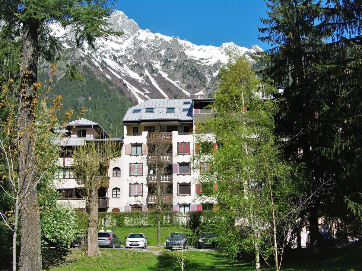 Appartement 2 pièces Chamonix, balcon sud-ouest - Photo 17