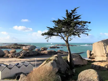 Location maison de vacances à Trégastel