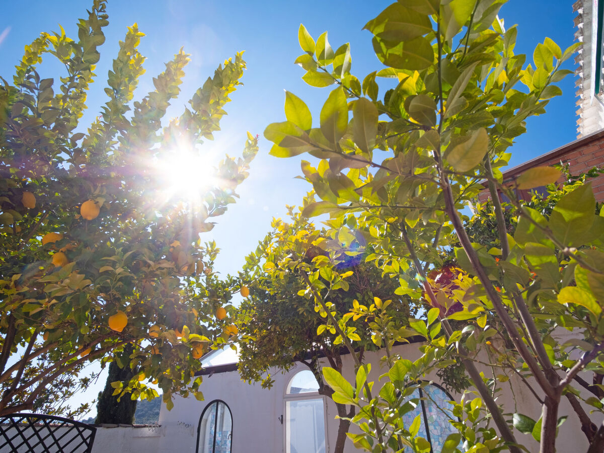 Gîte Nina Celi à Priego de Córdoba avec piscine - Photo 28