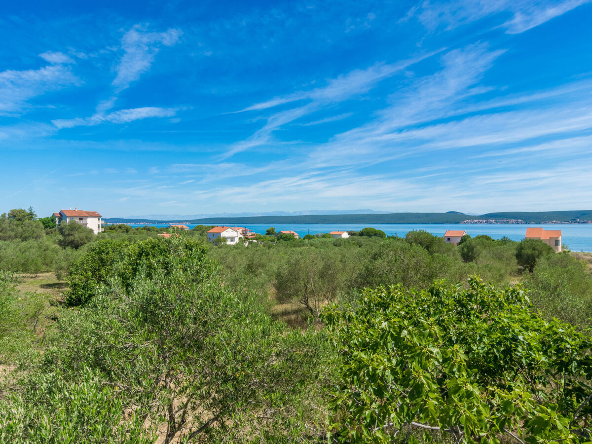 Maison Tea à Pašman : 8 pers, terrasse vue mer - Photo 20