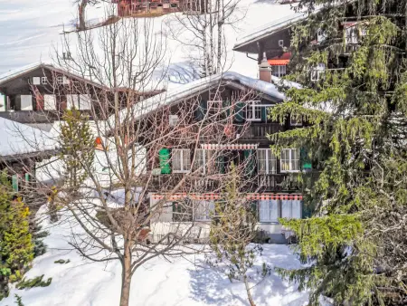 Location appartement à Grindelwald, Chalet Spassvogel