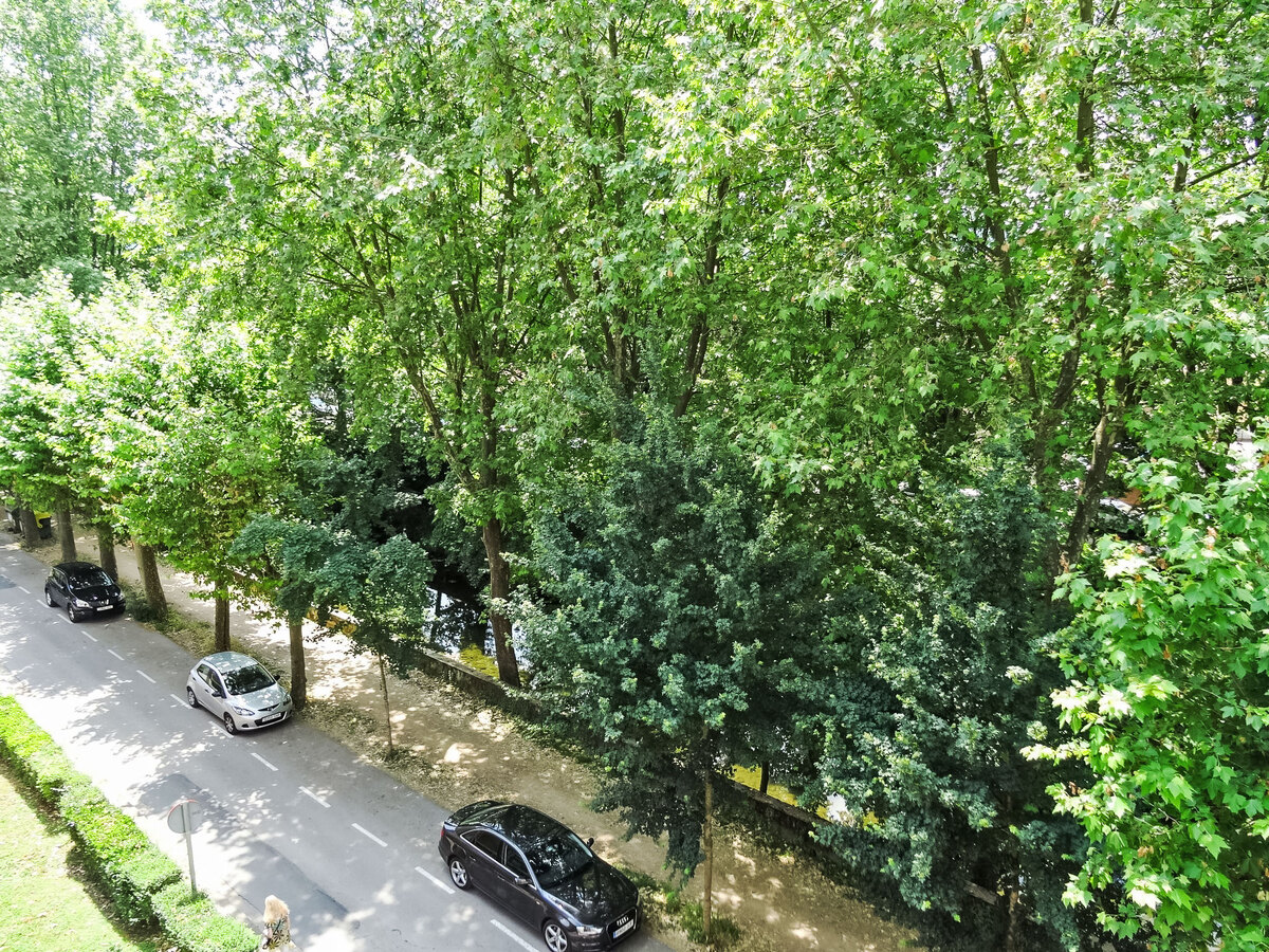 Appartement 90 m² vue rivière à Olot - Photo 25