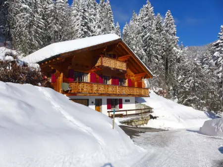 Saint Piran, Chalet 10 personnes à Villars - Photo 1