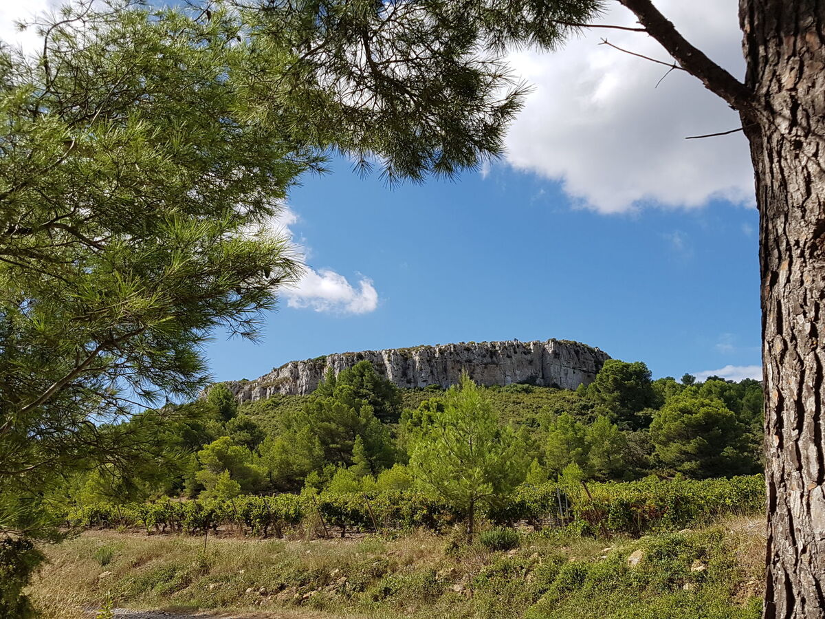 Appartement Le Méditerranée à 200 m de la mer - Photo 20
