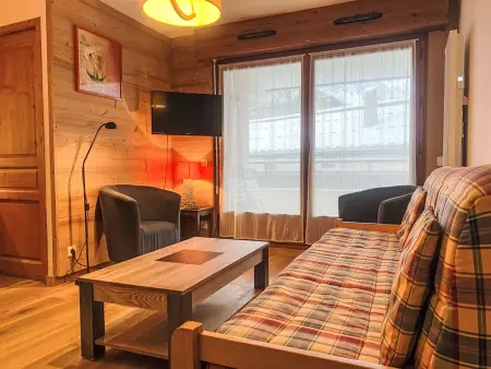 Appartement L'Espace Montagne, vue montagne à Chamonix : photo 15
