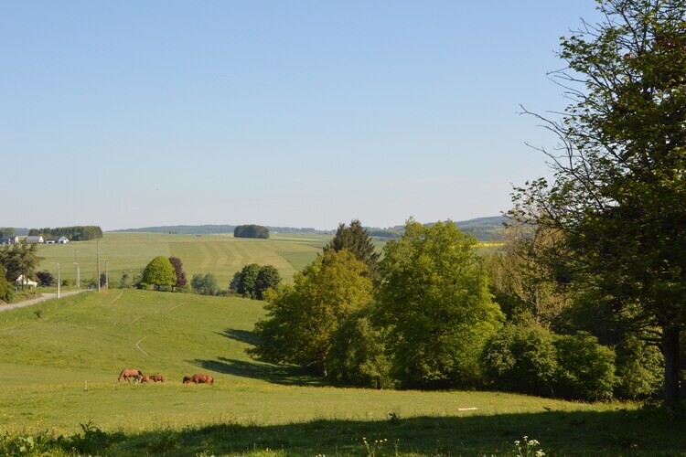 Au Fief des Oiseaux – Maison Werpin, 9 pers. - Photo 22