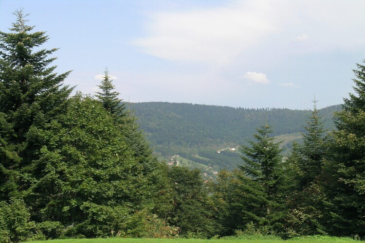 Chalet Ronds Chetys à Ventron, 100 m de la forêt - Photo 25