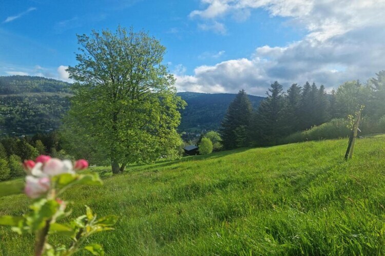 Chalet Ronds Chetys à Ventron, 100 m de la forêt - Photo 37