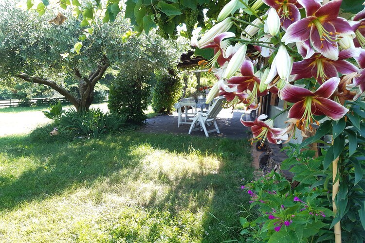 Casa Gherla Uno – Gîte 10 pers., jardin 1600 m² - Photo 27