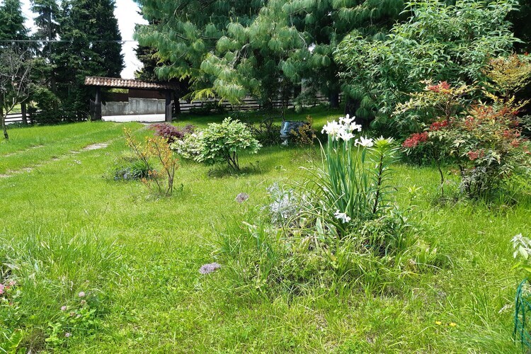 Casa Gherla Uno – Gîte 10 pers., jardin 1600 m² - Photo 29