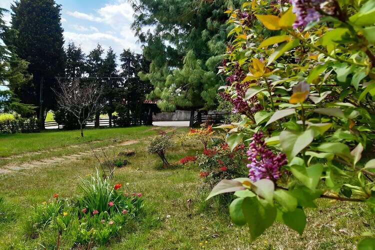 Casa Gherla Uno – Gîte 10 pers., jardin 1600 m² - Photo 30
