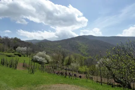 Gîte Val Di Lima Romantica, 6 personnes à Casoli : photo 21