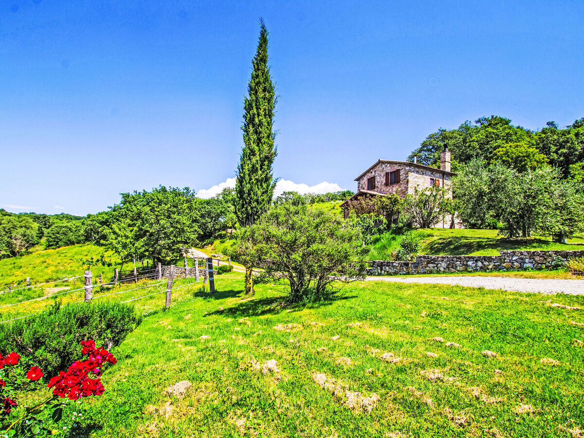 Casalini, maison rurale 4 pers. à Scansano avec piscine - Photo 3