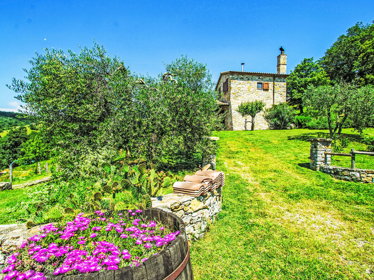 Casalini, maison rurale 4 pers. à Scansano avec piscine - Photo 4