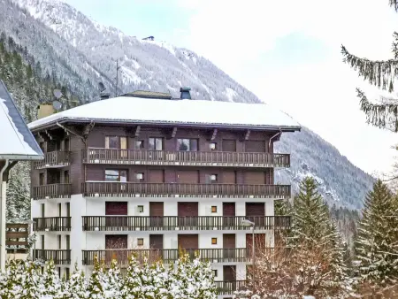 Les Aiguilles du Brévent – Apt 2p, vue montagne : photo 9
