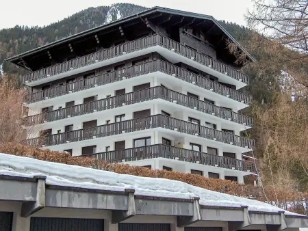 Les Aiguilles du Brévent – Apt 2p, vue montagne : photo 11