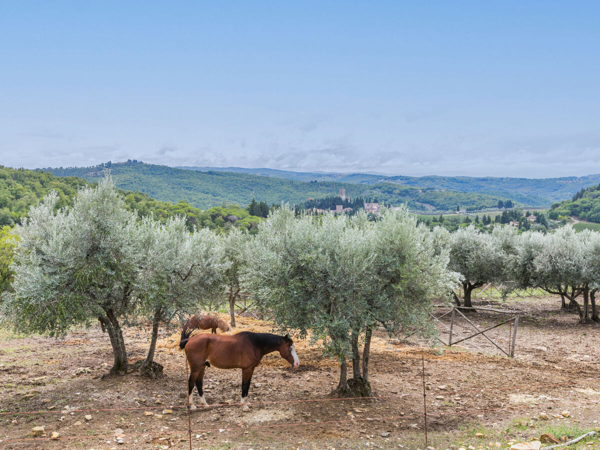 Gîte rural Badia a Passignano, vue abbaye - Photo 40