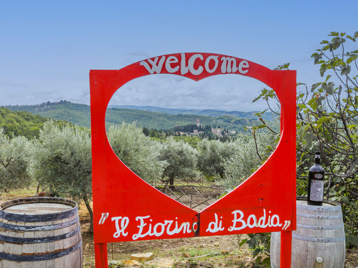 Gîte 2 pièces avec vue abbaye au cœur du Chianti - Photo 36