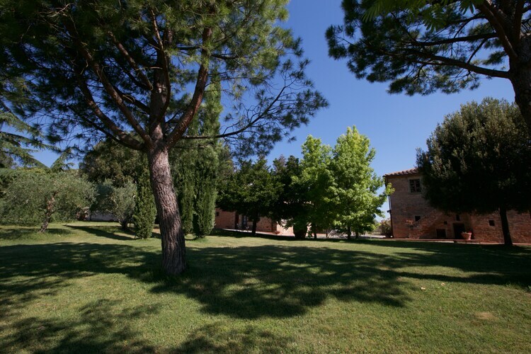 Tiglio, gîte toscane 6 pers. avec piscine à Cortona - Photo 37