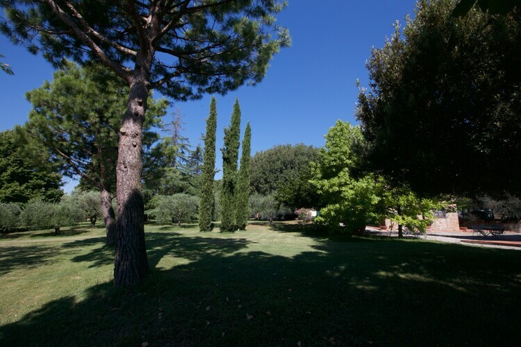 Tiglio, gîte toscane 6 pers. avec piscine à Cortona - Photo 39