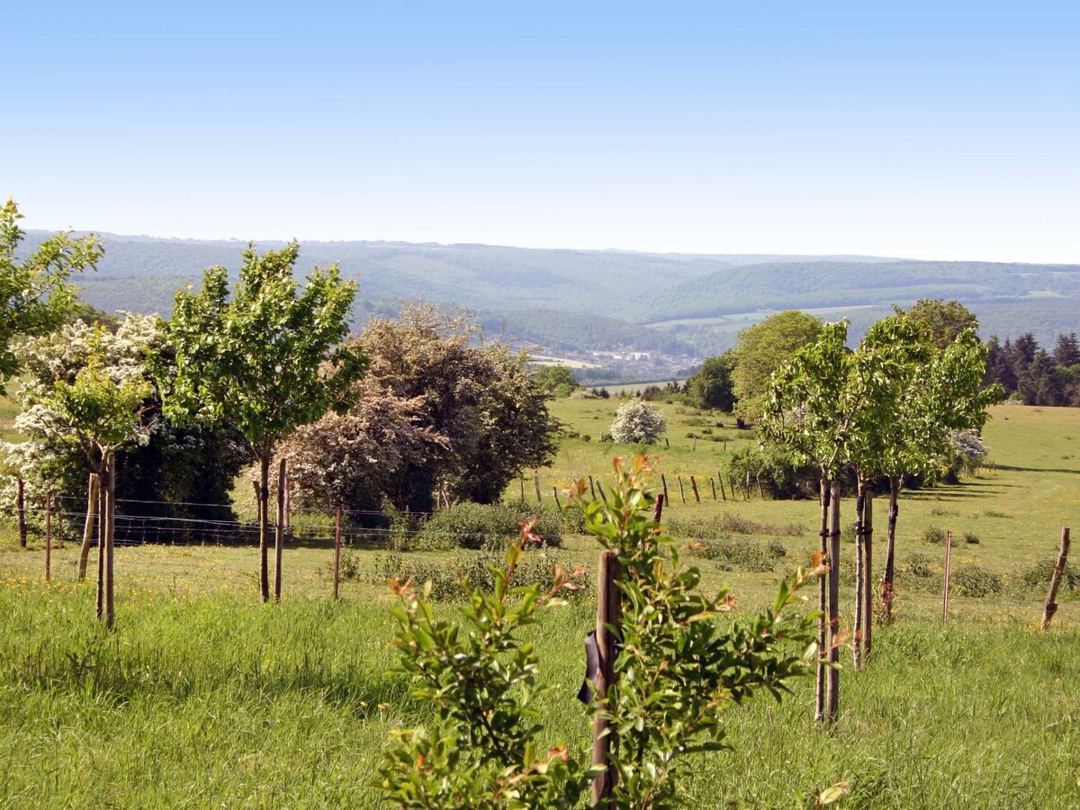 Gîte rural Mamijana – 6 pers., jardin & vue panoramique - Photo 5